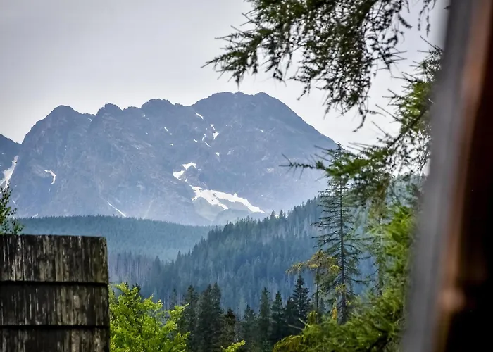 Za górami za lasami